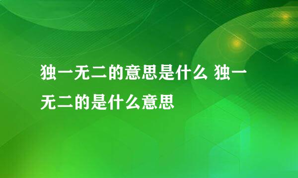 独一无二的意思是什么 独一无二的是什么意思