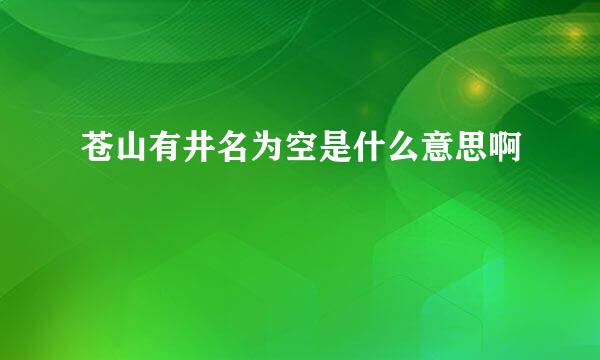 苍山有井名为空是什么意思啊