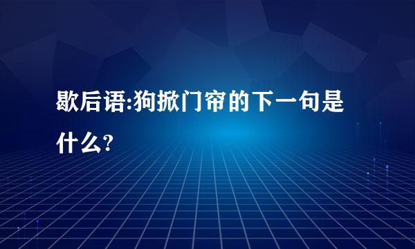 歇后语:狗掀门帘的下一句是什么?