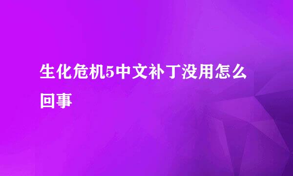 生化危机5中文补丁没用怎么回事