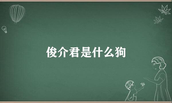 俊介君是什么狗