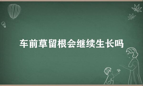 车前草留根会继续生长吗