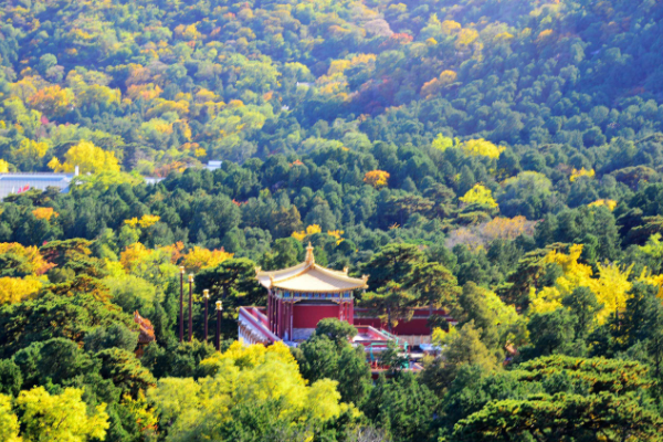 北京旅游景点排名前十