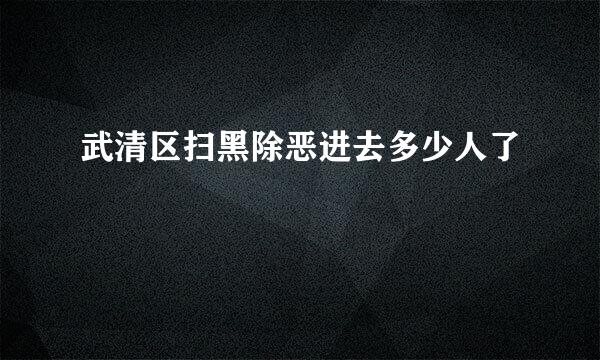 武清区扫黑除恶进去多少人了