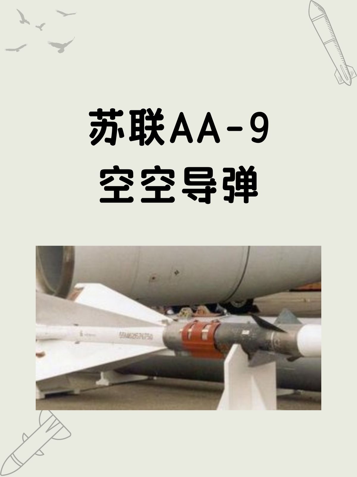 苏联AA-9空空导弹