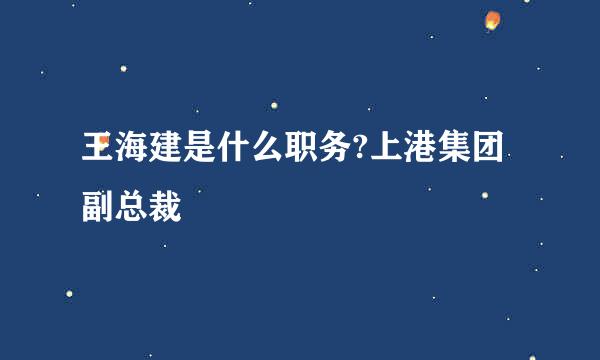 王海建是什么职务?上港集团副总裁