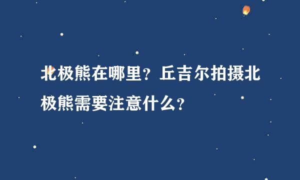 北极熊在哪里？丘吉尔拍摄北极熊需要注意什么？