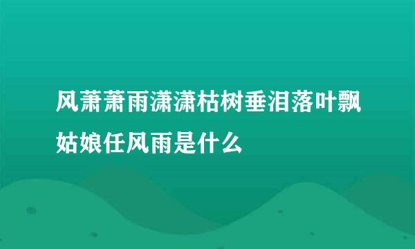 风萧萧雨潇潇枯树垂泪落叶飘姑娘任风雨是什么