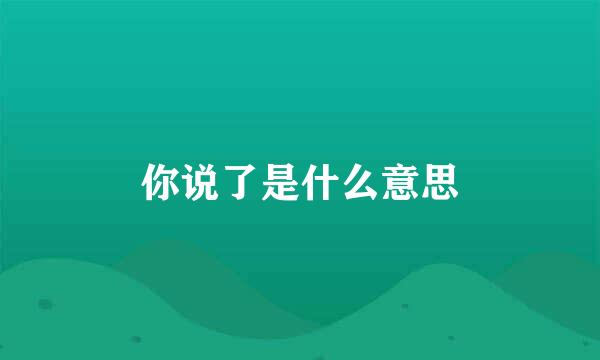 你说了是什么意思