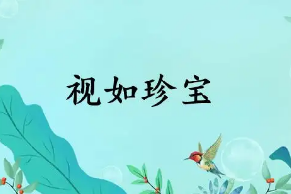 视如珍宝是什么意思