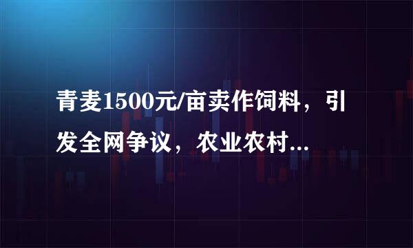 青麦1500元/亩卖作饲料，引发全网争议，农业农村部表态了