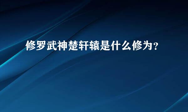 修罗武神楚轩辕是什么修为？