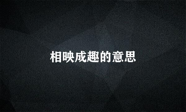 相映成趣的意思