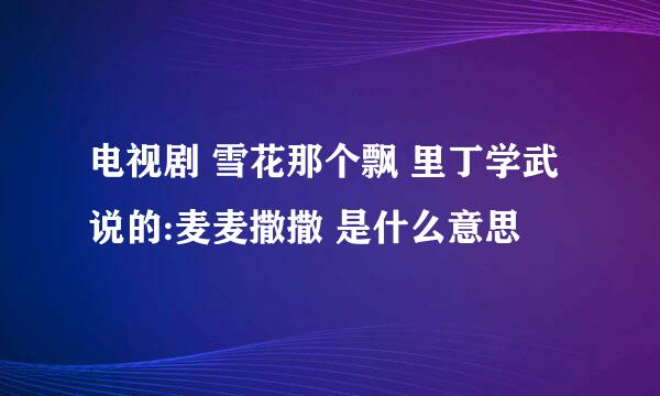 电视剧 雪花那个飘 里丁学武说的:麦麦撒撒 是什么意思