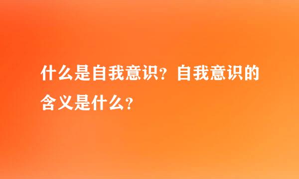 什么是自我意识？自我意识的含义是什么？