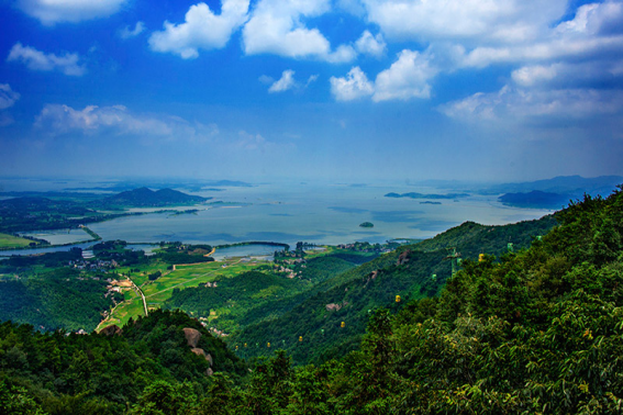 平明送客楚山孤全诗