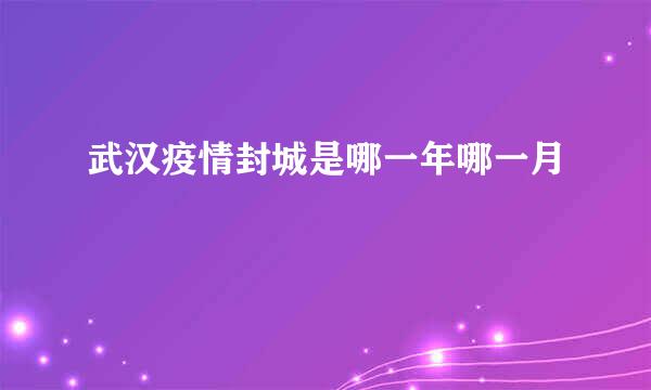 武汉疫情封城是哪一年哪一月