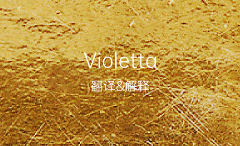 violeta中文翻译