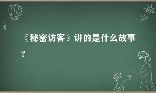 《秘密访客》讲的是什么故事？