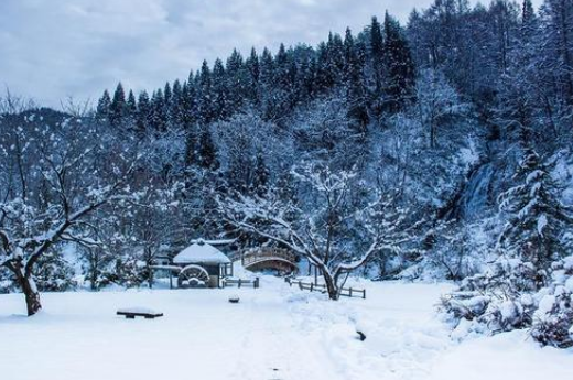 江雪这首诗的意思是什么？