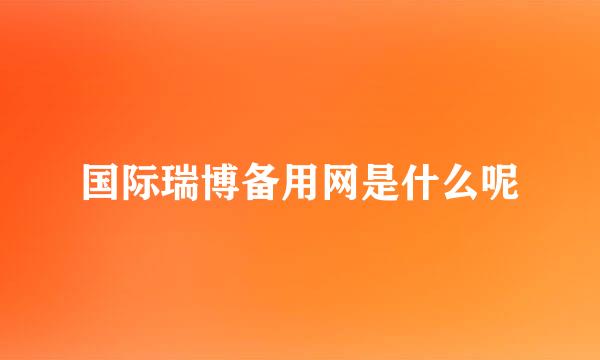 国际瑞博备用网是什么呢