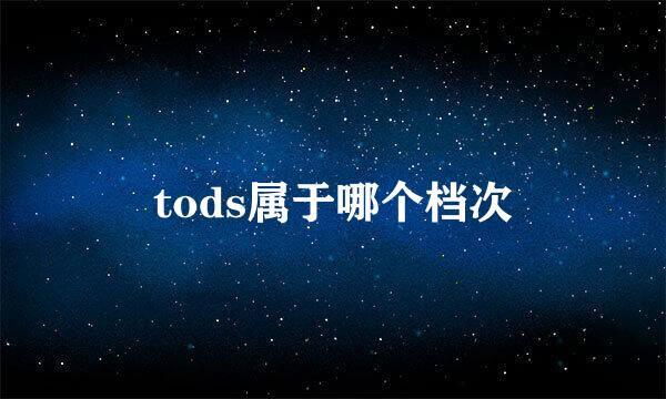 tods属于哪个档次