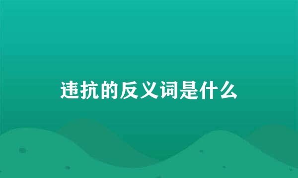 违抗的反义词是什么