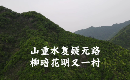 柳暗花明又一村的意思