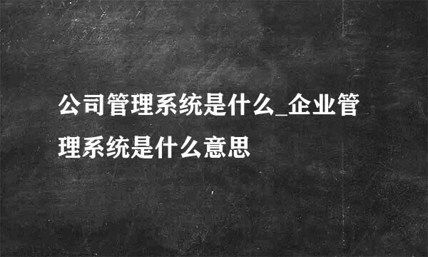 公司管理系统是什么_企业管理系统是什么意思