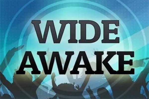 wide awake是什么意思