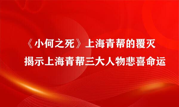 《小何之死》上海青帮的覆灭揭示上海青帮三大人物悲喜命运