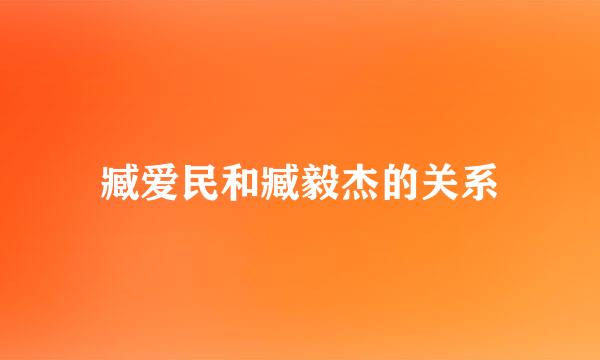 臧爱民和臧毅杰的关系