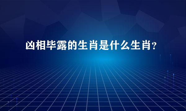 凶相毕露的生肖是什么生肖？