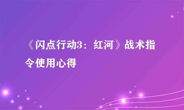 《闪点行动3：红河》战术指令使用心得