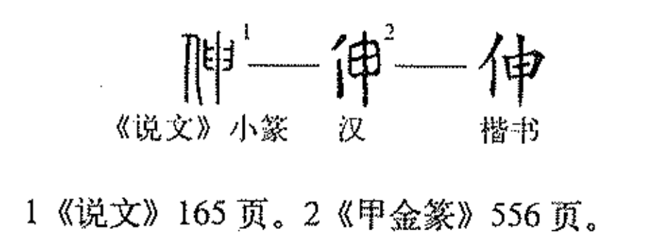 伸可以组什么词