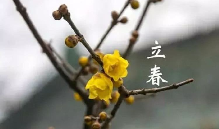 立春节气的特点和风俗是什么？