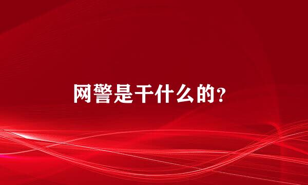 网警是干什么的？