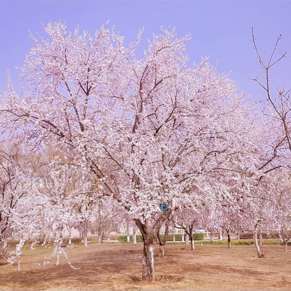 河北科技大学怎么样