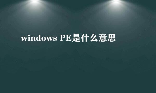 windows PE是什么意思