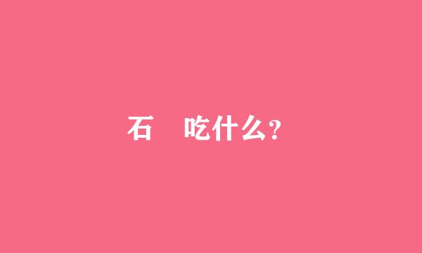 石鸻吃什么？