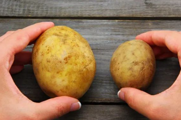 i potato you翻译中文