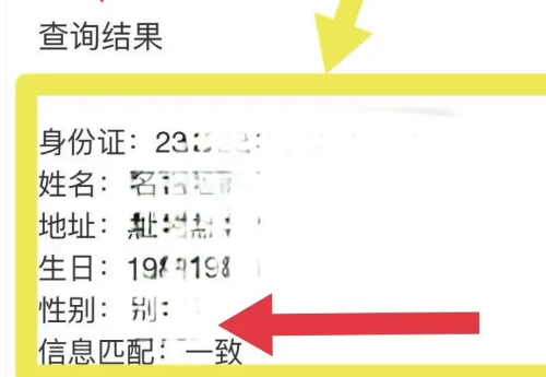 个人信息怎么查