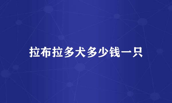 拉布拉多犬多少钱一只