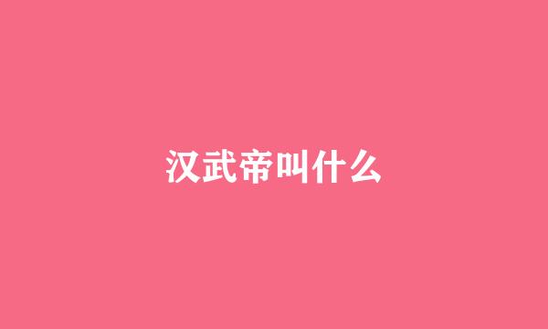 汉武帝叫什么