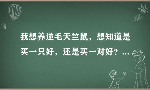 我想养逆毛天竺鼠，想知道是买一只好，还是买一对好？它跟仓鼠一样需要分笼吗？还有，这个好养吗？谢谢！