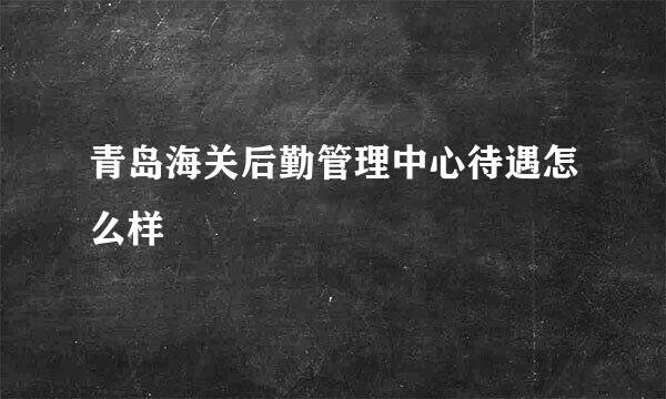 青岛海关后勤管理中心待遇怎么样