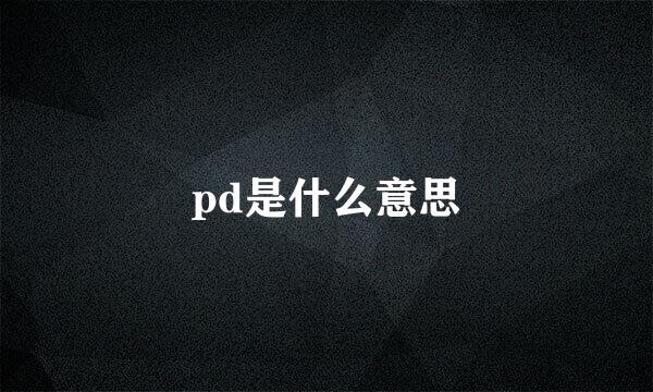 pd是什么意思