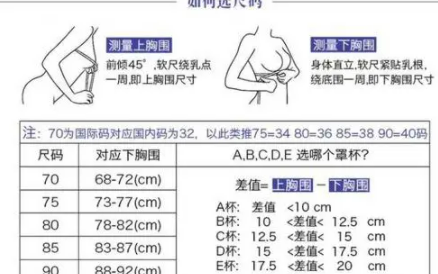 胸围怎么算