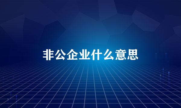 非公企业什么意思