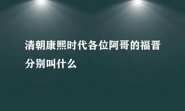 清朝康熙时代各位阿哥的福晋分别叫什么